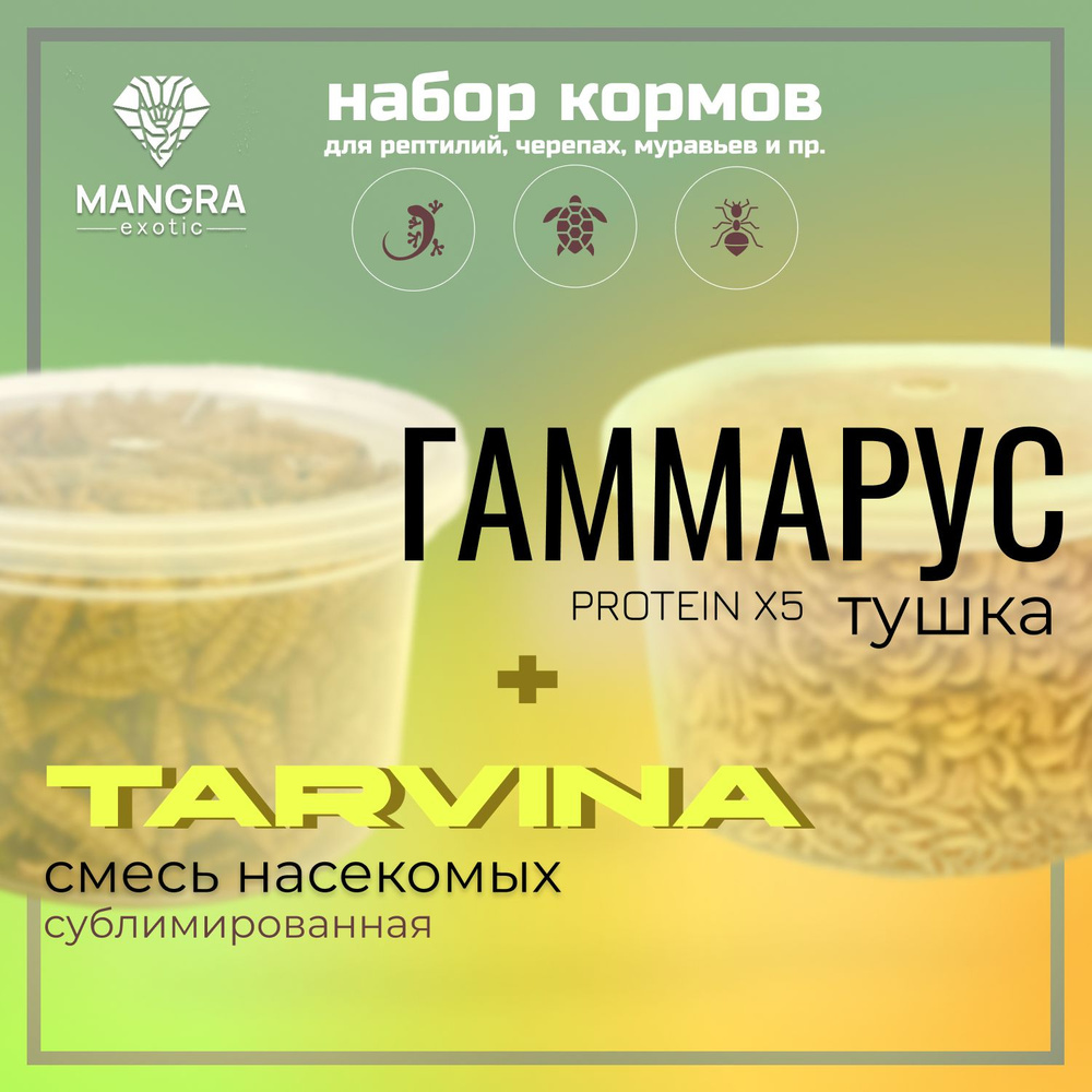 Набор корма: MANGRA TARVINA, 250 мл + Гаммарус (тушка) MANGRA exotic  PROTEIN X5, 250 мл - для черепах, рептилий, муравьев, тараканов и пр. -  купить с доставкой по выгодным ценам в интернет-магазине OZON (1280173636)