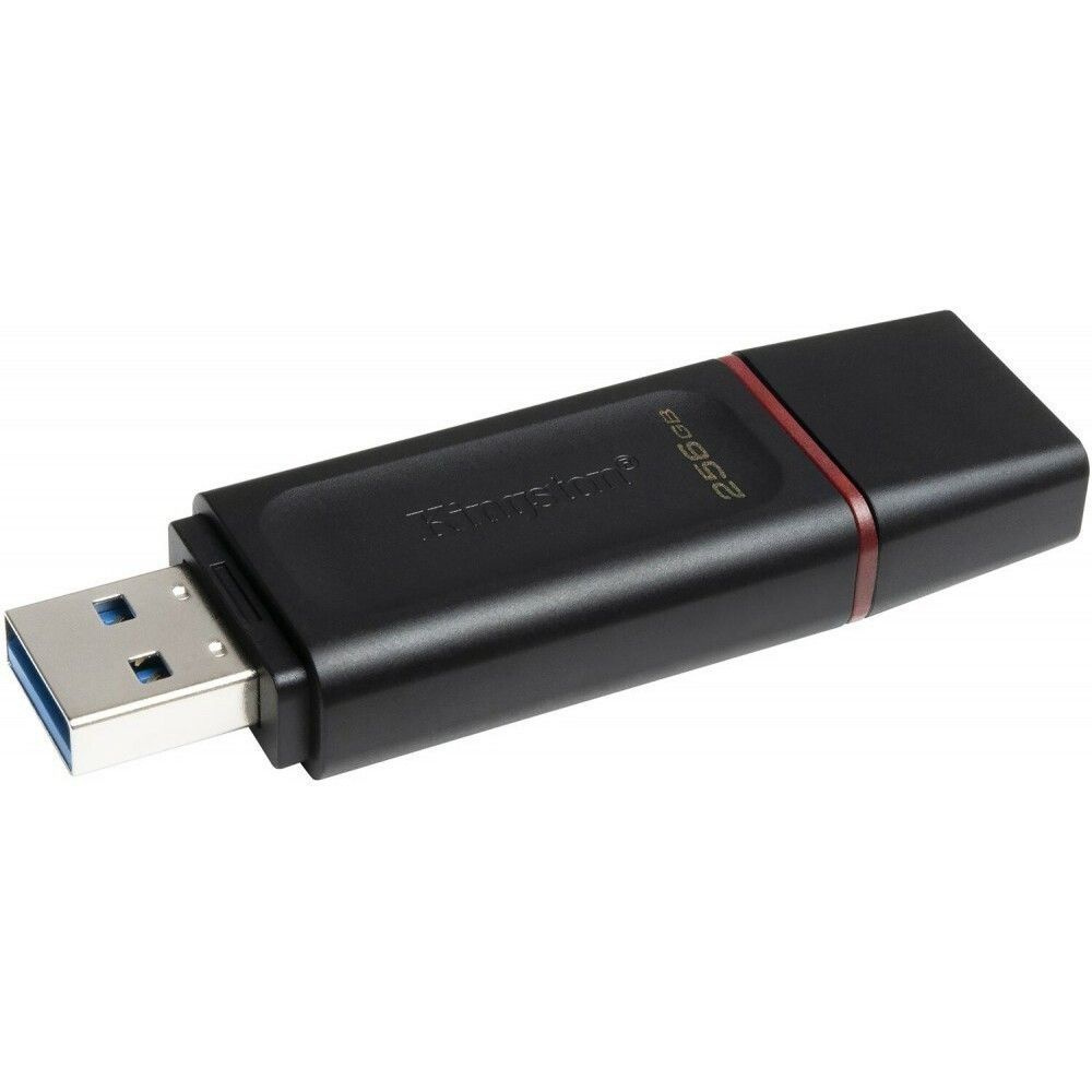 USB Flash накопитель Kingston DataTraveler Exodia (DTX/256GB) 256Gb #1