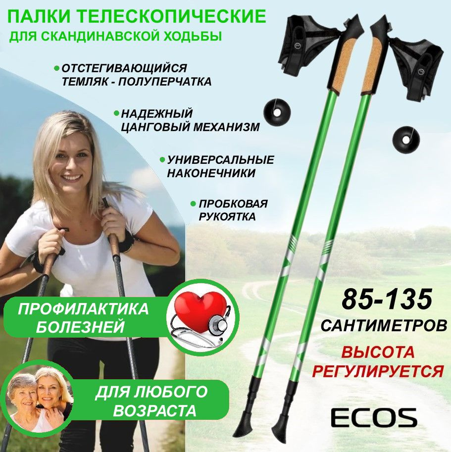 Палки для скандинавской ходьбы ECOS Nordic регулируемые 85-135см,  двухсекционные, алюминиевые, 1пара - купить с доставкой по выгодным ценам в  интернет-магазине OZON (299843853)