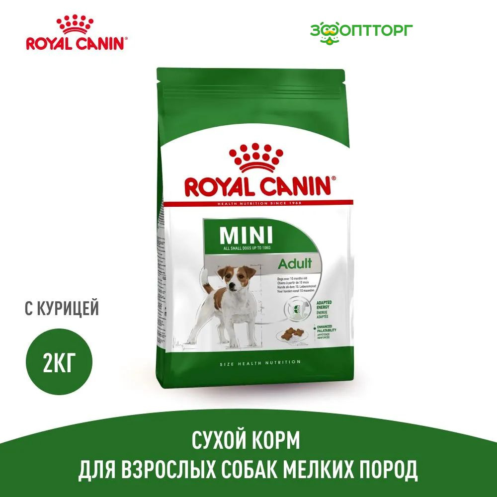 Сухой корм Royal Canin Mini Adult для взрослых собак мелких пород, с  курицей, 2 кг - купить с доставкой по выгодным ценам в интернет-магазине  OZON (363518029)