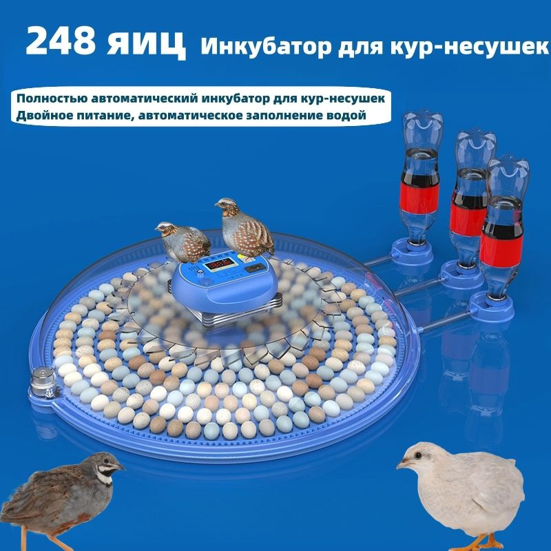 Автоматический дисковый инкубатор для 248 маленьких яиц перепелов ...