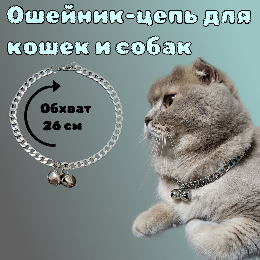 Ошейник для кота: виды, подбор и как приучить — Purina ONE®