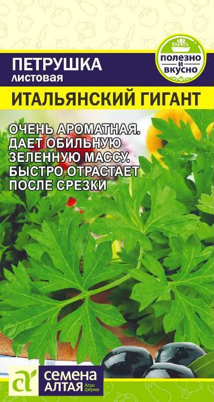 Петрушка "Итальянский Гигант" семена Алтая для открытого грунта и теплиц, 2 гр  #1