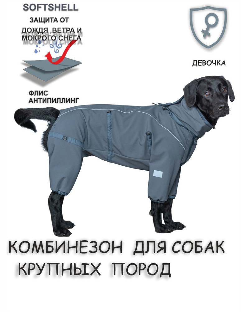 Комбинезон для собак Softshell (девочка)-55 #1