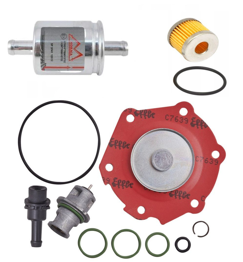 Ремкомплект редуктора ГБО LOVATO + Фильтр грубой очистки с кольцом ...