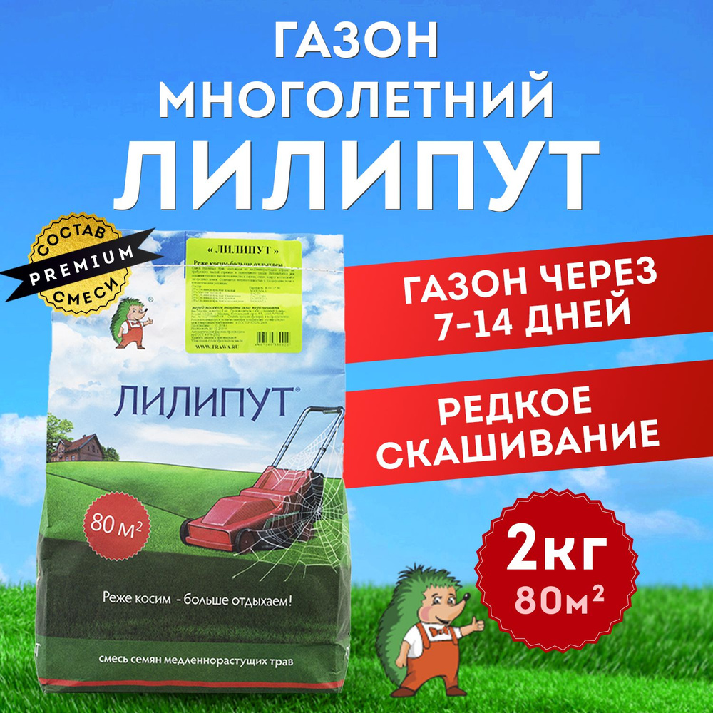 Газонные травы Лилипут 24 шт. по 500 г_1_медленнорастущий - купить по  выгодным ценам в интернет-магазине OZON (170811912)