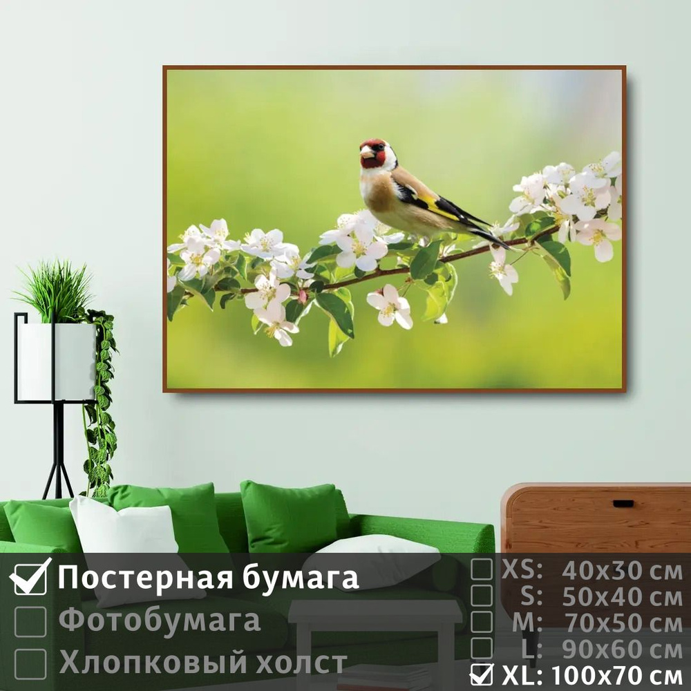 Постер на стену Птица Щегол Сидит На Ветке С Белыми Цветами 100х70 см ПолиЦентр #1