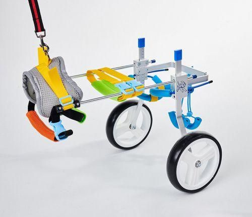 Коляска для собак инвалидная, на задние лапы - купить с доставкой по ...