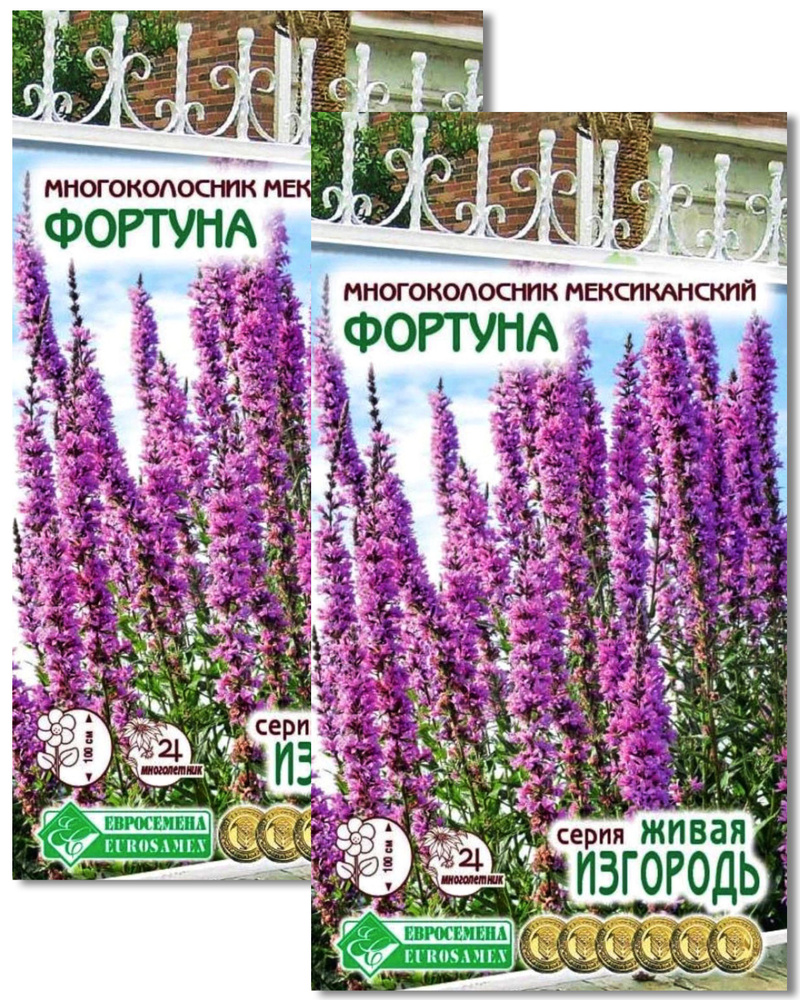 Многоколосник мексиканский ФОРТУНА, 2 пакета, семена 0,2г, ЕвроСемена  #1