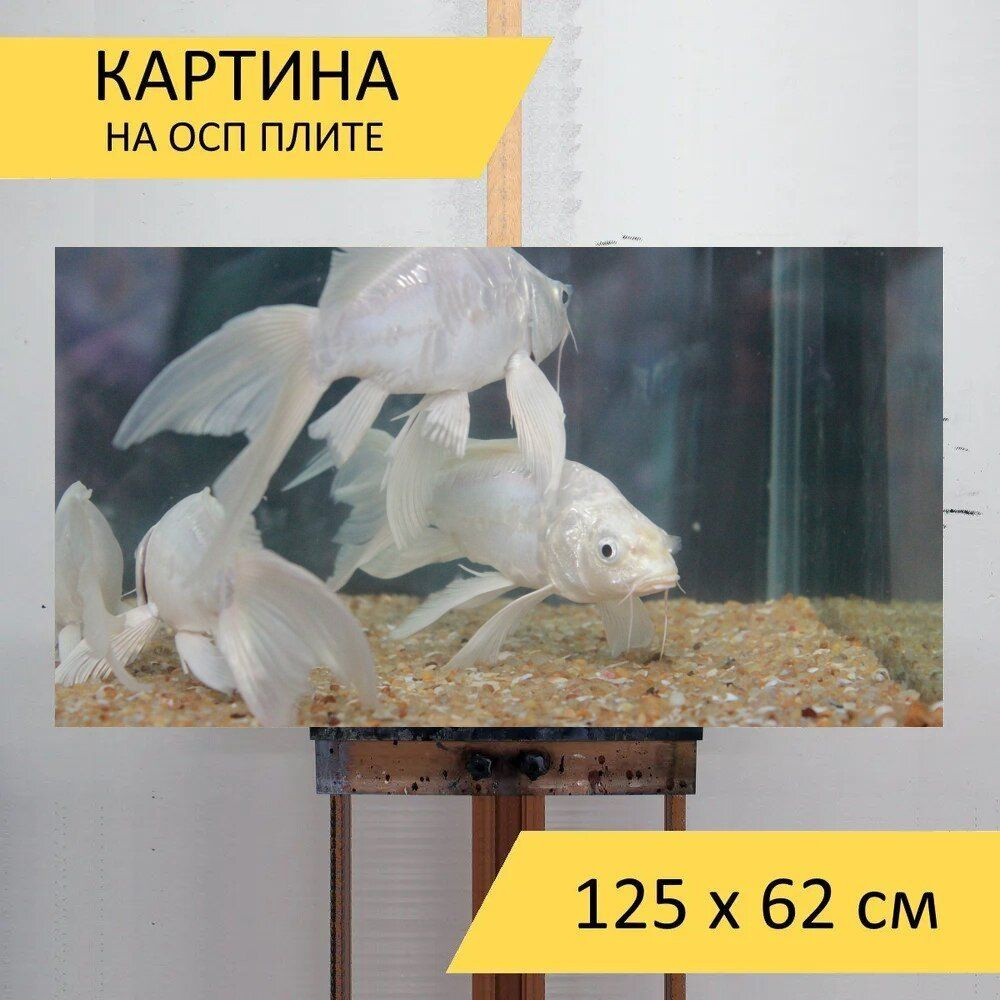 LotsPrints Картина "Рыбы, белый, плавники 33", 125  х 62 см #1