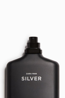 silver zara man