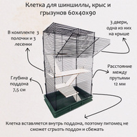 Деревянные полки для шиншилл