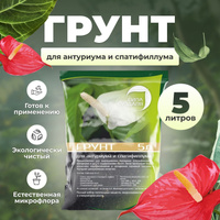 Антуриум Андре Карма микс Anthurium andraeanum Karma mix 60/17 — цена в LETTO