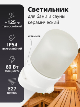 Светильник для сауны Tdm Electric НПБ400, настенно-потолочный, 60 Вт, IP54, белый