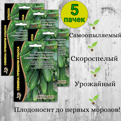 Огурцы зеленая гирлянда отзывы фото описание Семена Огурца "Сибирская гирлянда" F1 купить в интернет-магазине по низкой цен