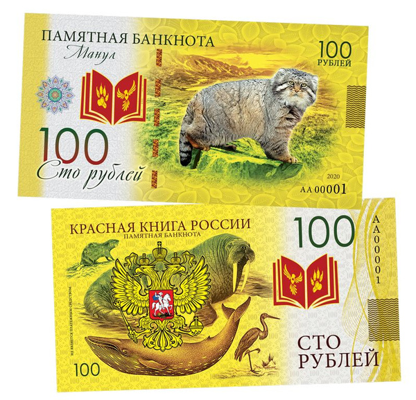 Порно секс девственницы в део