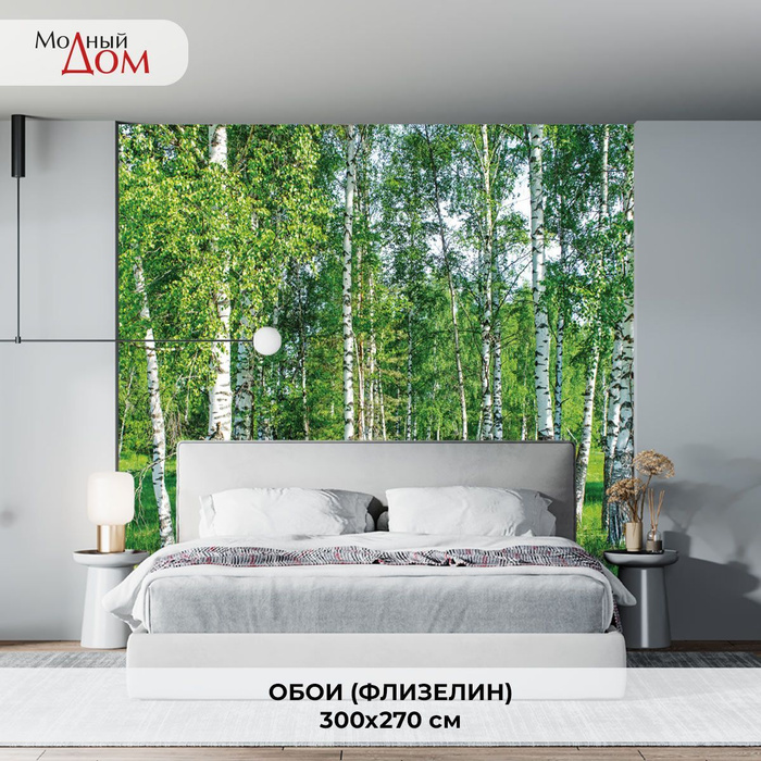 Фотообои на стену "Березовая роща" 300x270(ШxВ) см, 3d флизелиновые ...