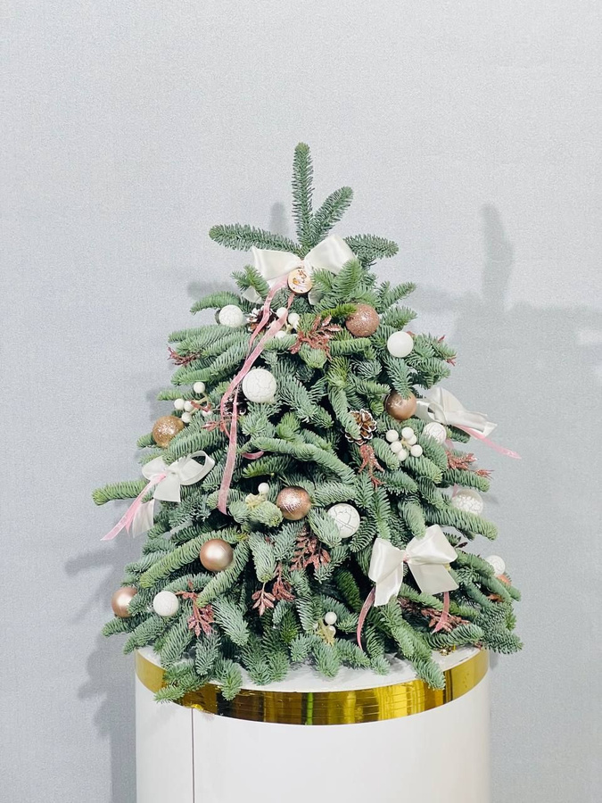 живая елка украшенная. живая новогодняя елка отзывы. живая новогодняя елка отзывы. живая ель на новый год. елка пихта живая.