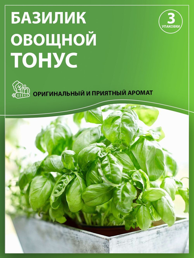 Базилик тонус. Базилик тонус зеленый. Базилик тонус поиск. Семена базилика.