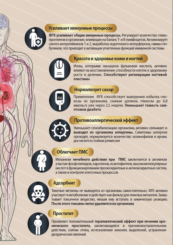 Текстовое описание изображения