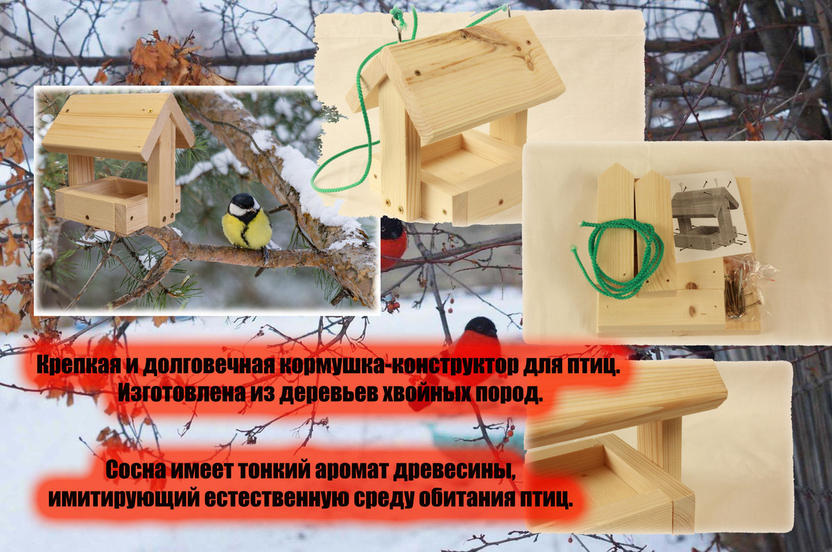 Текстовое описание изображения