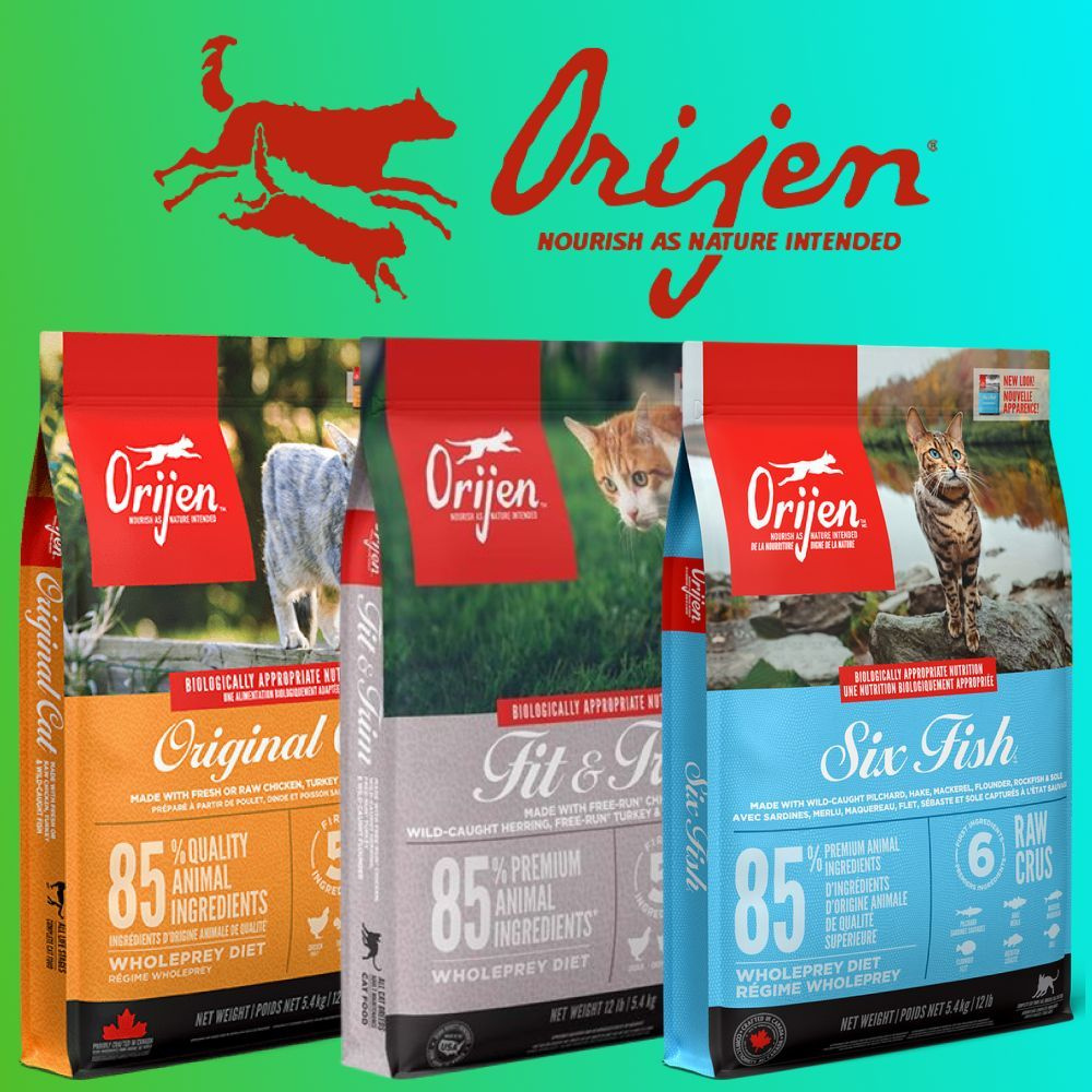 Orijen для кошек и котят корм беззерновой с цыпленком и индейкой