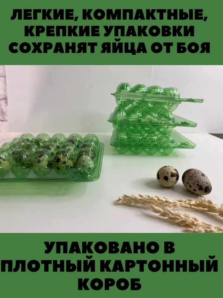 Упаковка 10 шт зеленая (контейнер) для перепелиных яиц 20 ячеек., 10 шт, фото 5