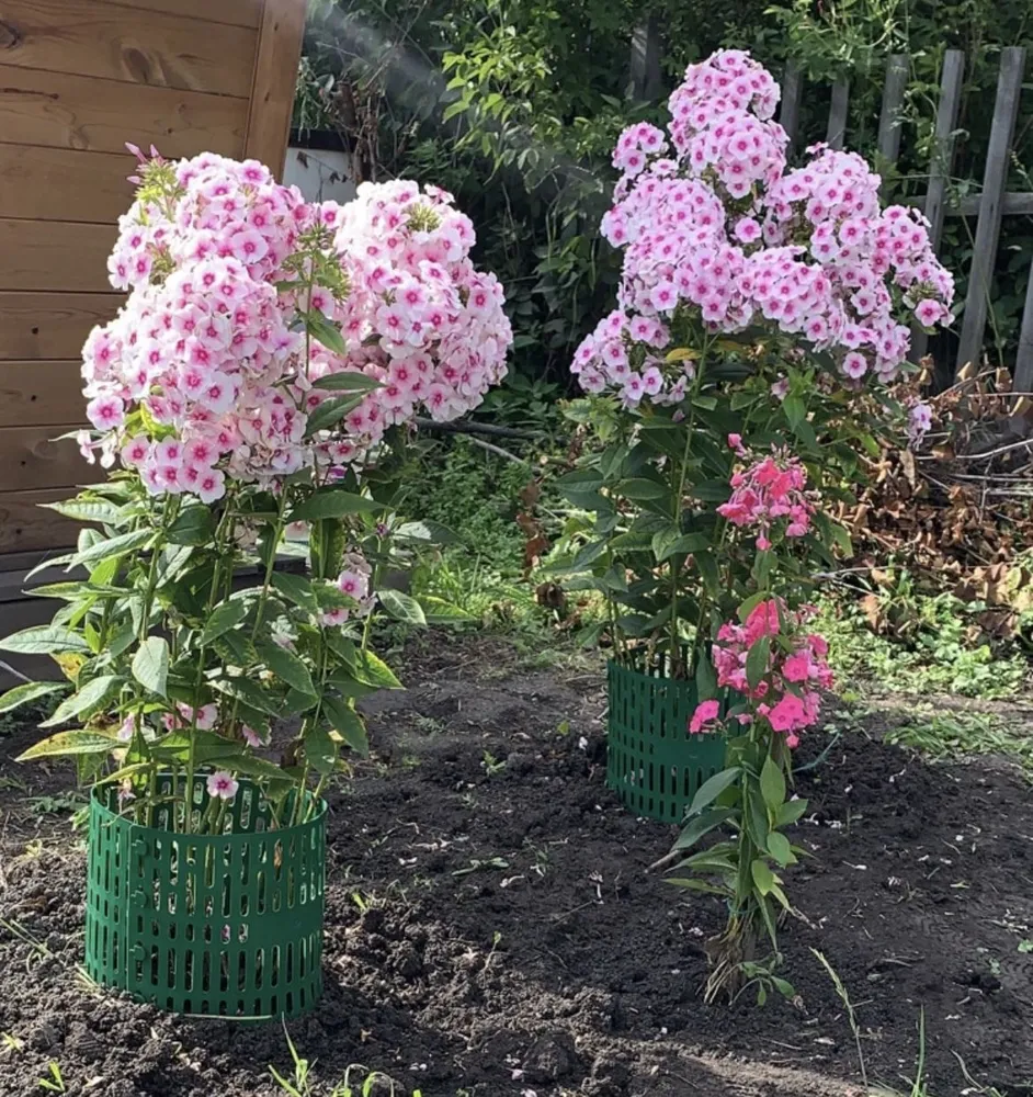 Защита стволов деревьев, набор 10 шт., 36х20 см, 36x20 см, 10 шт, фото 6