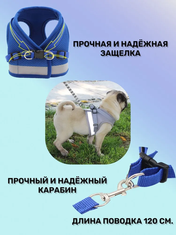 Шлейка с поводком для собак мелких и средних пород / Шлейка для кошек, XL, вариант, фото 4