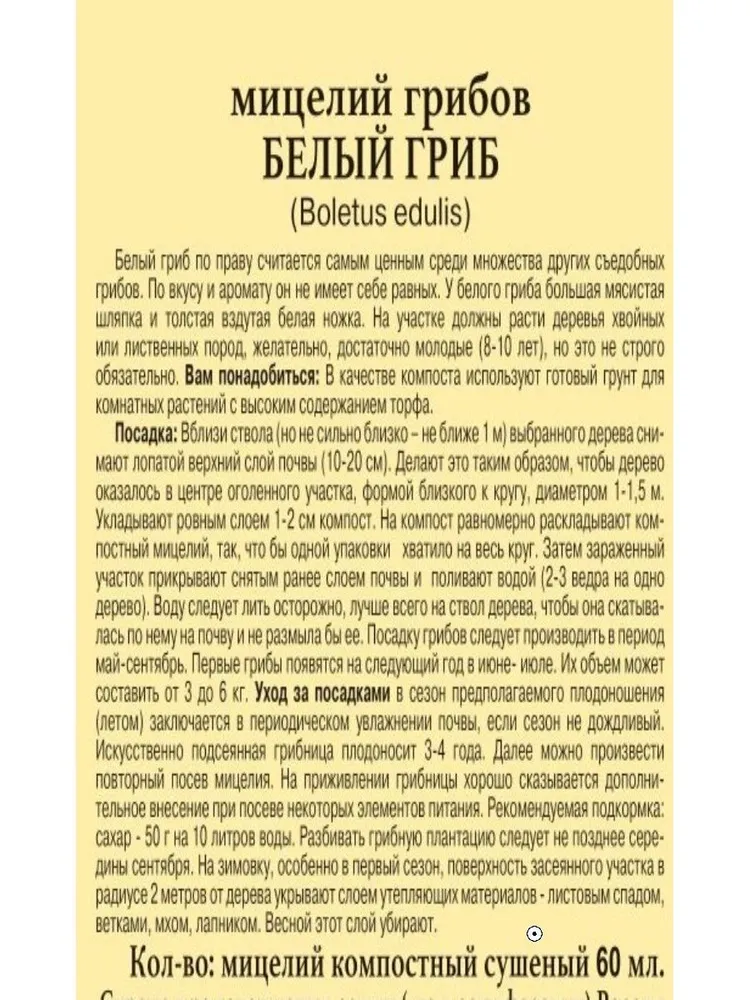 Мицелий грибов "БЕЛЫЙ ГРИБ" семена, белый, фото 3