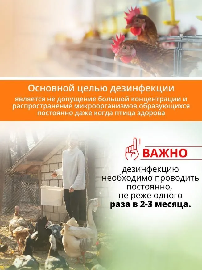 Средство для дезинфекции курятников, вариант, фото 5