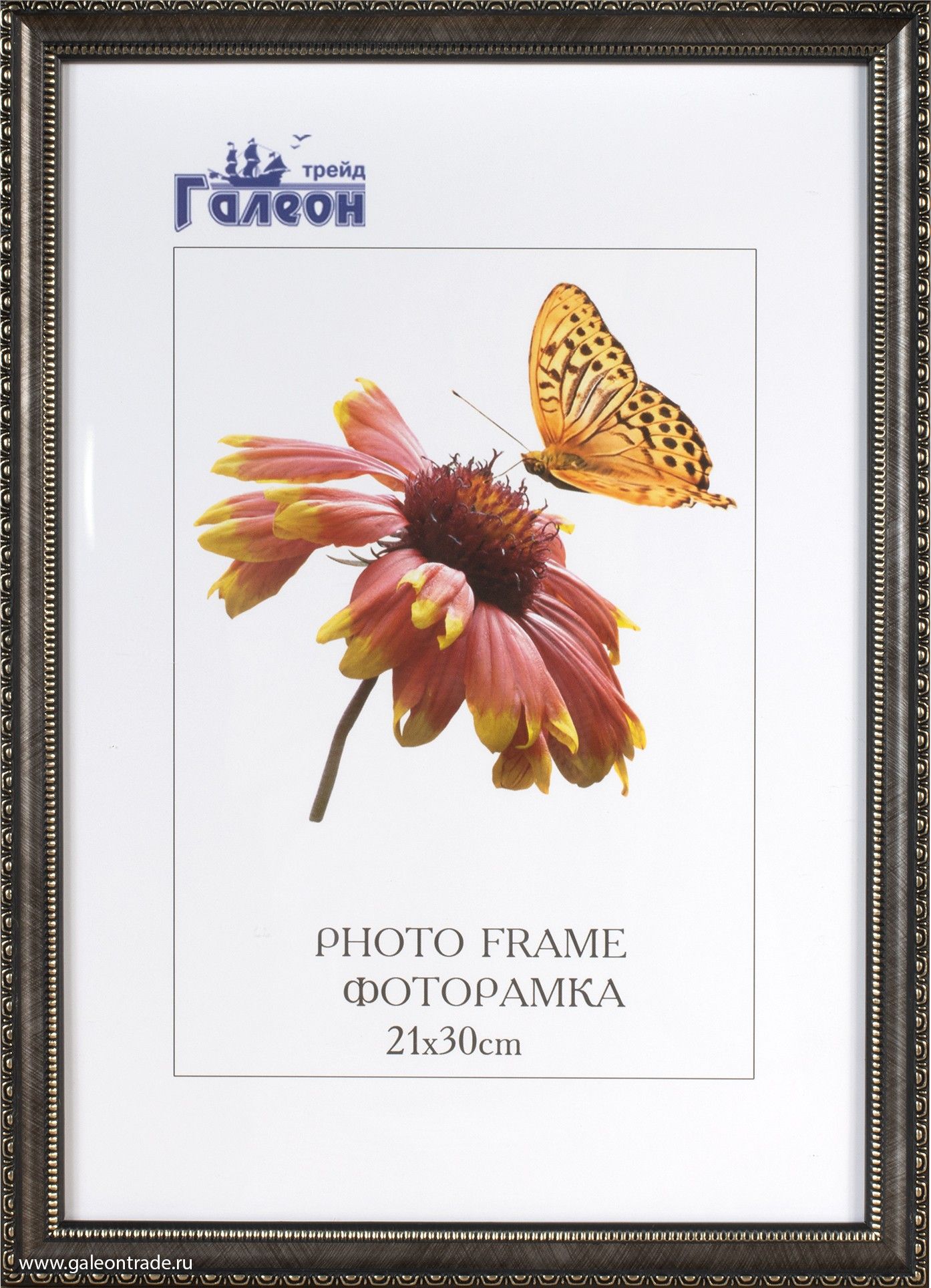 Фоторамка пластиковая 21 х 30 см, коричневая