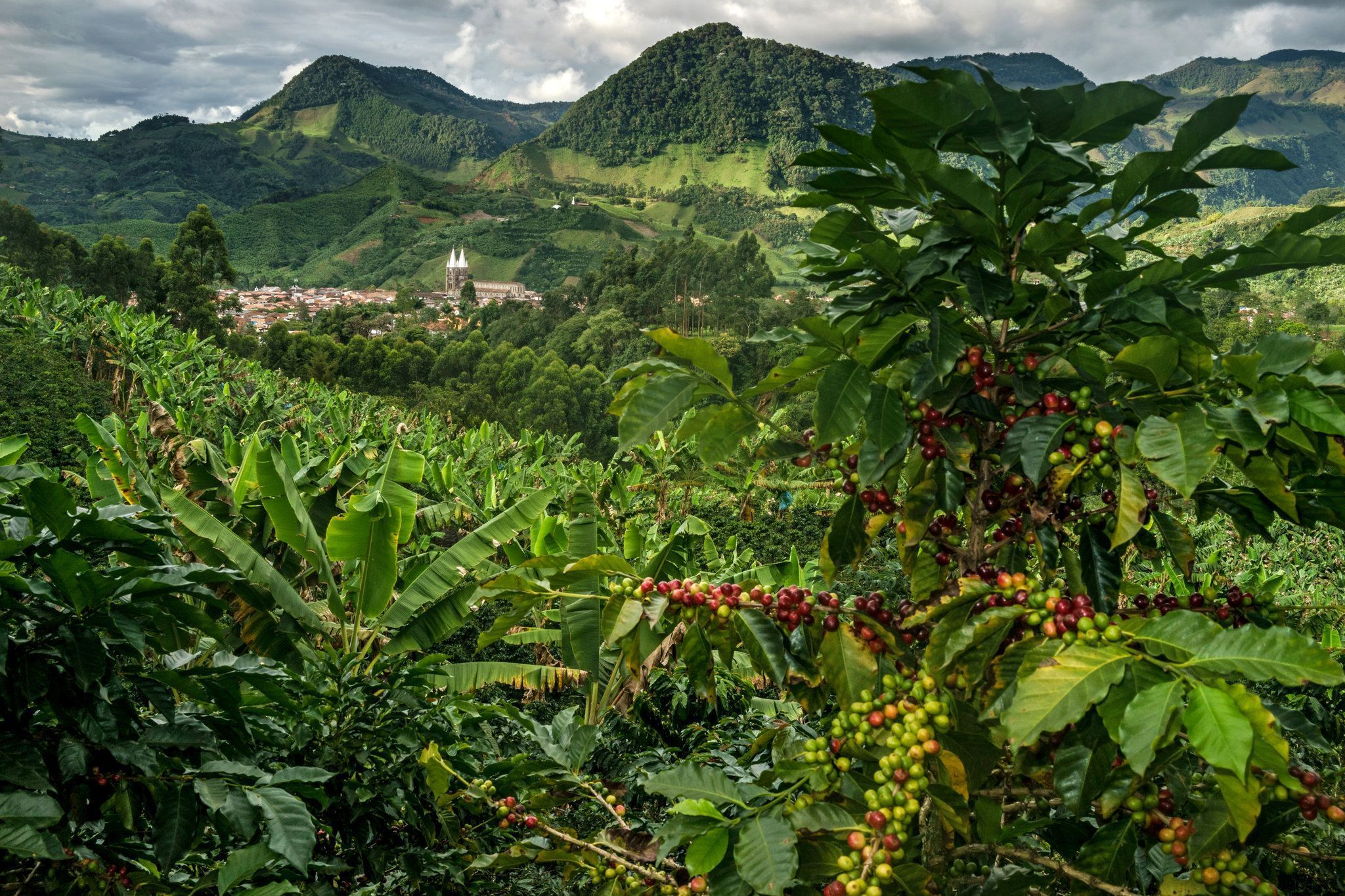 Climate, culture, tourism - finca bayano