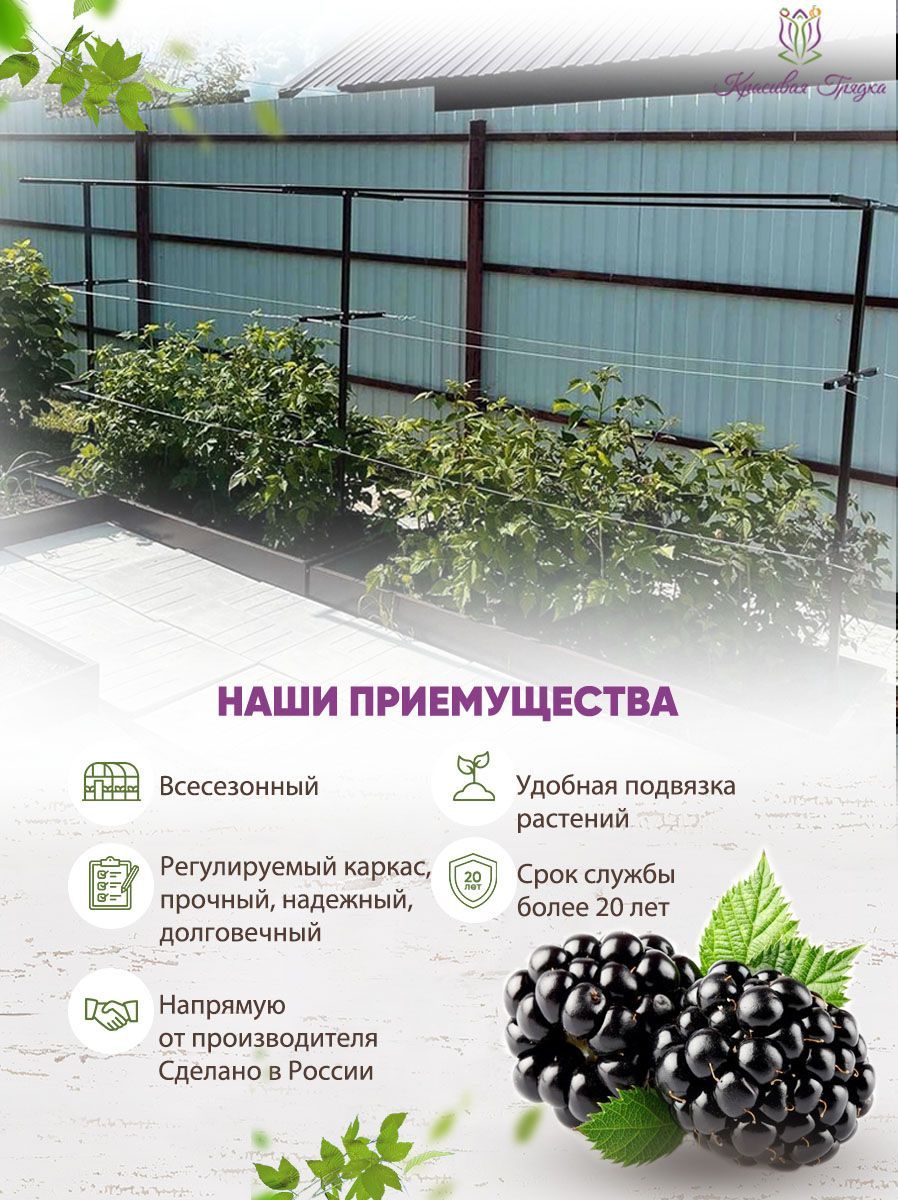 Удлинитель металлической шпалеры "Красивая Грядка" для кустарников садовых ягод и фруктов - купить по выгодной цене в интернет-магазине OZON (571262190)