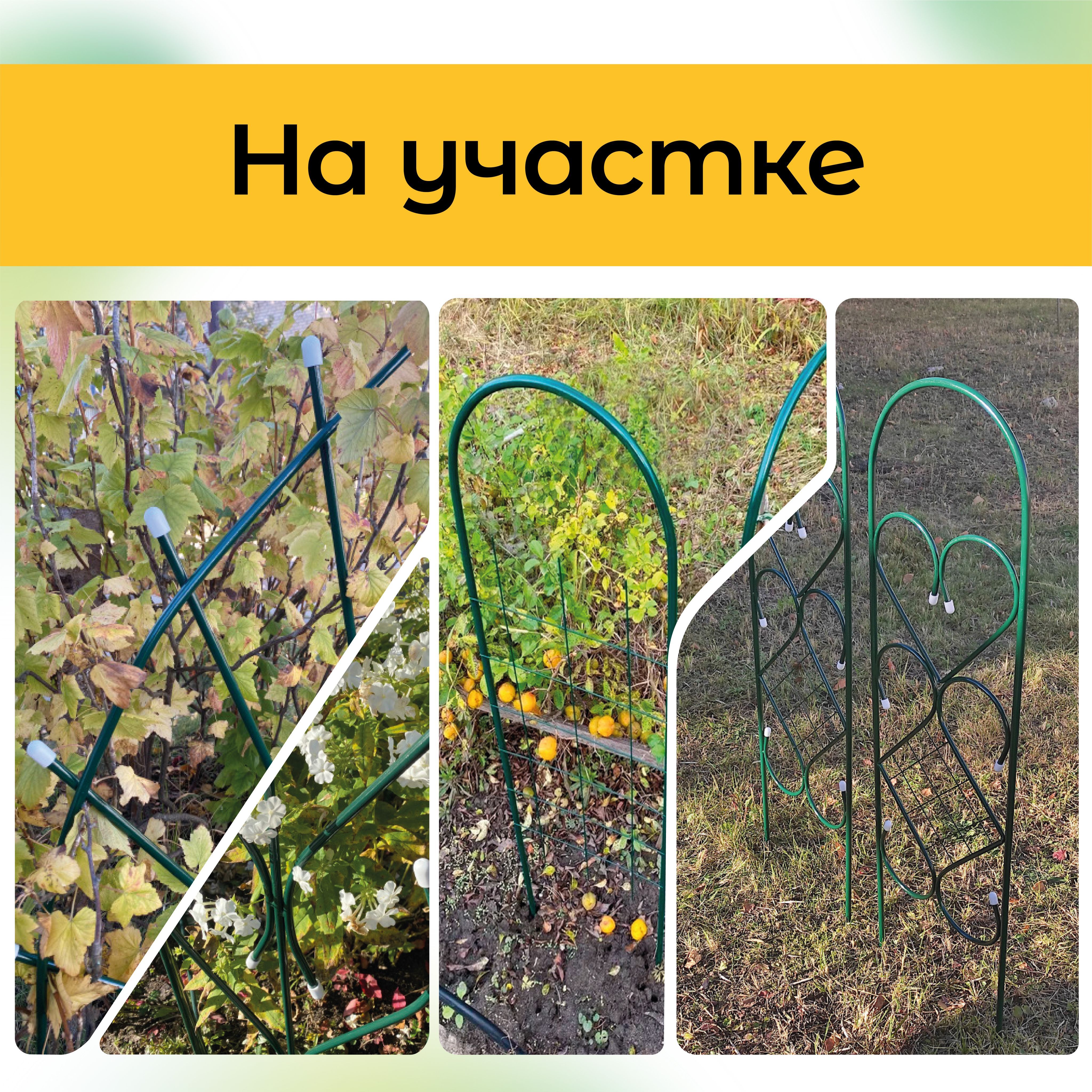 Опоры для клематисов — 3 идеи