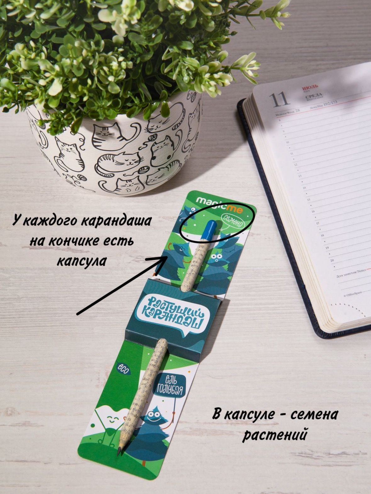 Эко карандаши Eco Stick с семенами