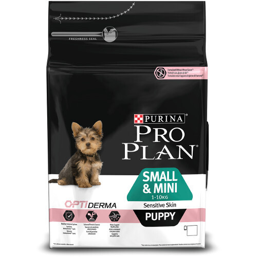 Pro plan puppy store salmon