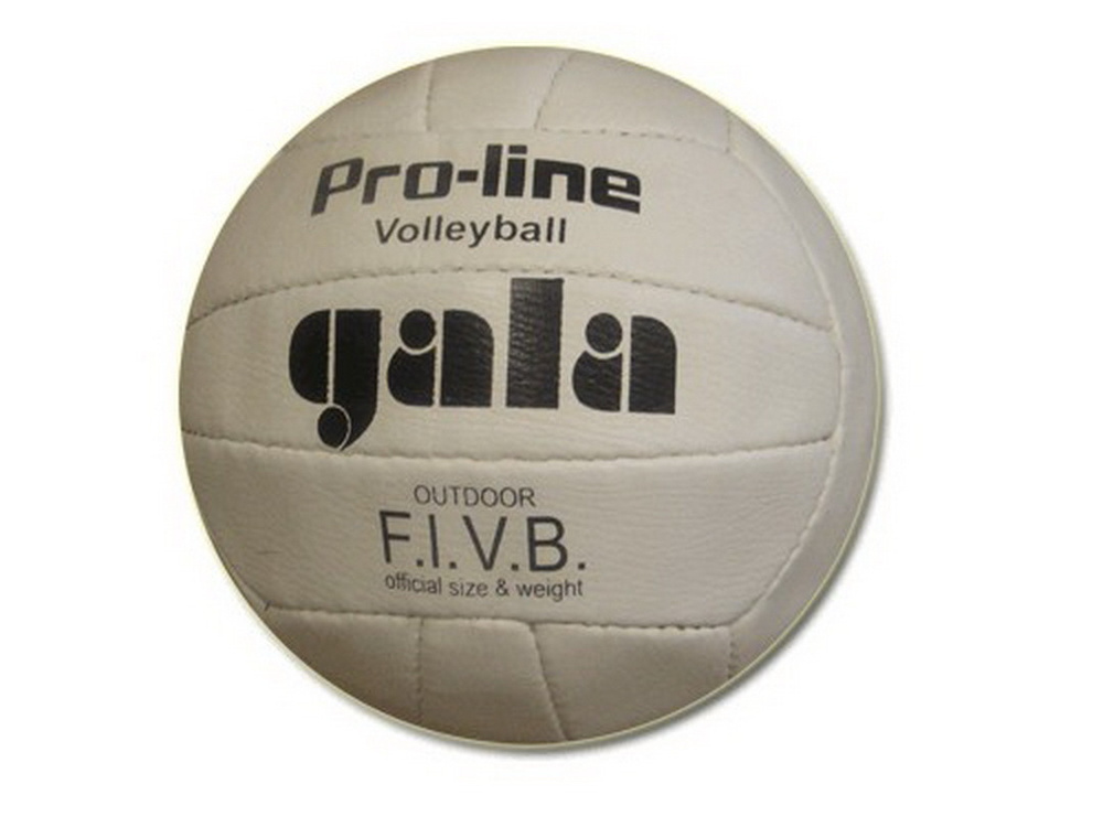 Мяч волейбольный GALA 1, 5 размер, белый купить по выгодной цене в ...