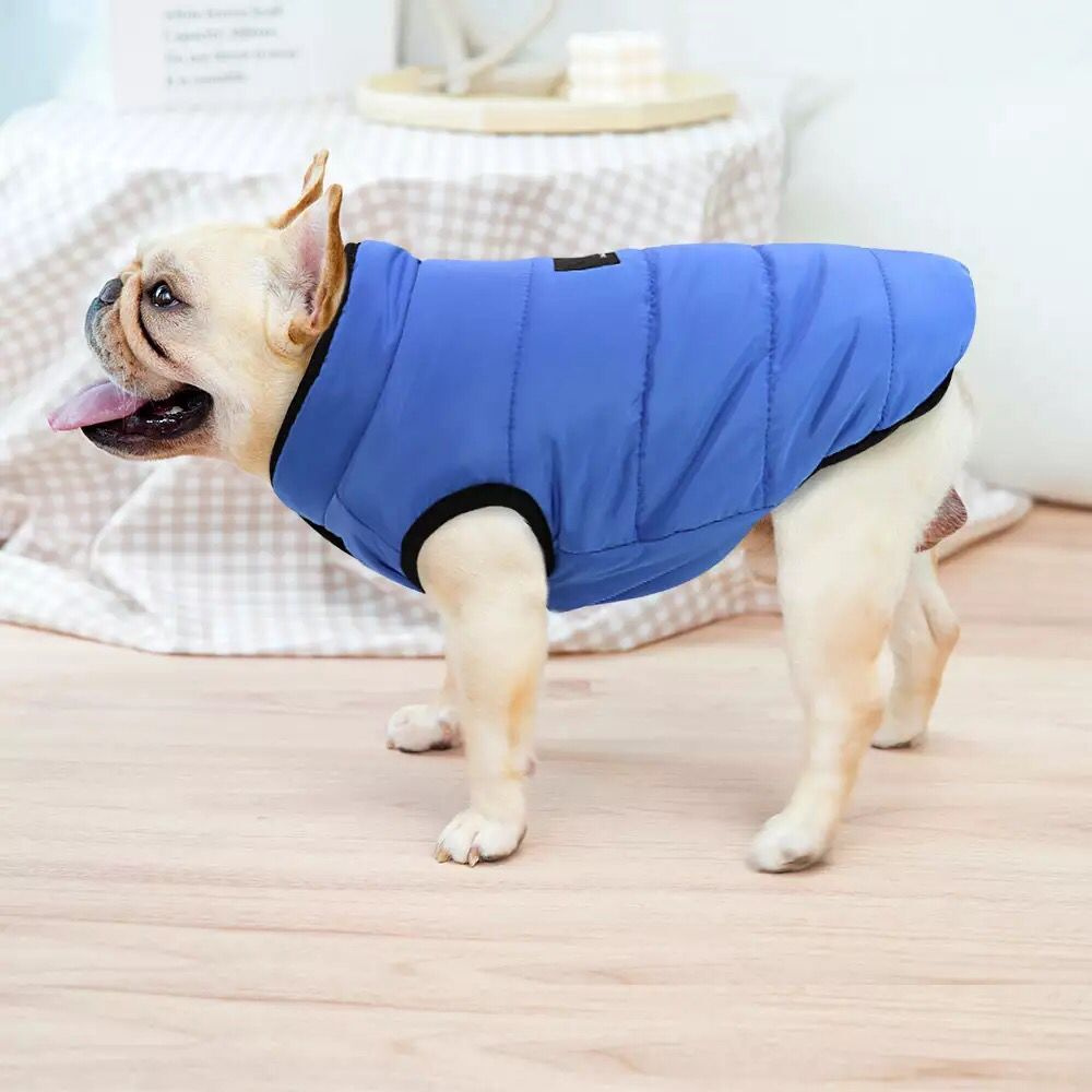 Куртка для собак мелких пород Arnydog Chongl синяя, L 30 см, жилет, попона,  одежда для собак мелких пород - купить с доставкой по выгодным ценам в  интернет-магазине OZON (339811347)