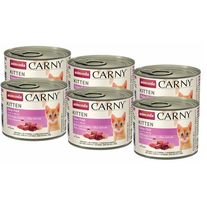 Carny kitten best sale baby pate