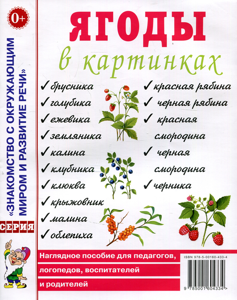 Ягоды в картинках. Наглядное пособие для педагогов, воспитателей,  логопедов, родителей