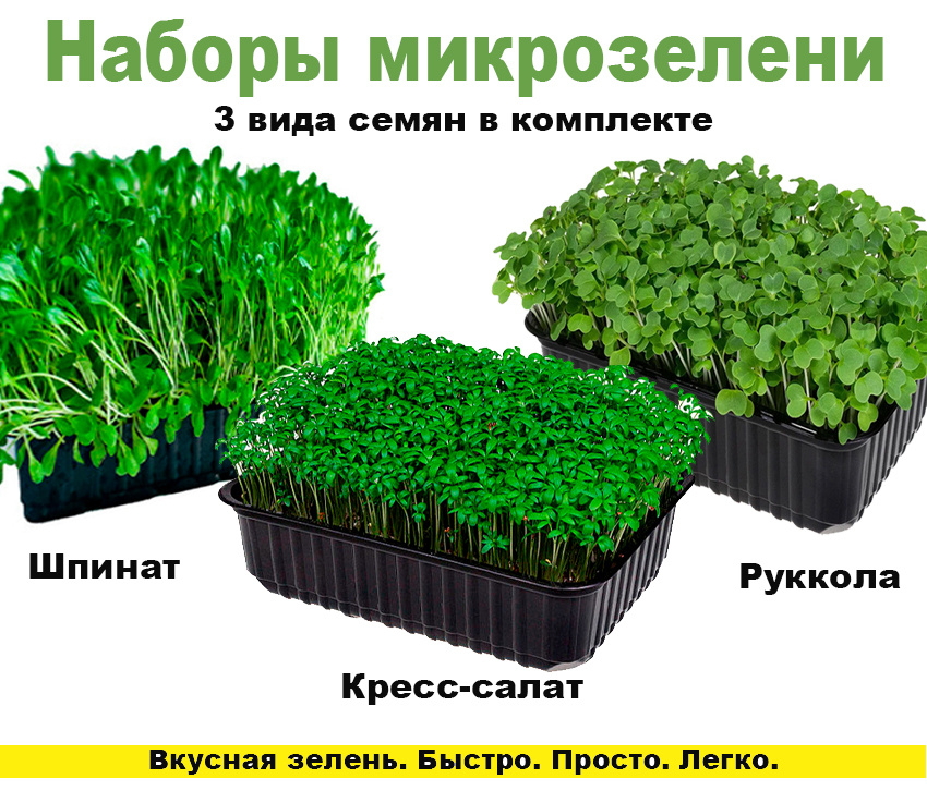 Набор для выращивания МирДом, Разнообразные комнатные, Различные травыкупить по выгодной цене в интернет-магазине OZON (489671518)