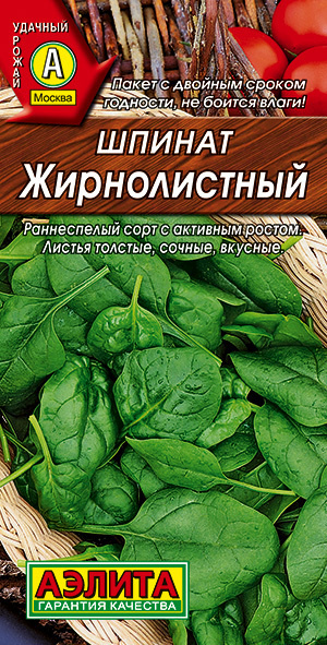 Шпинат ЖИРНОЛИСТНЫЙ - Листья толстые, сочные, очень вкусные! / Семена 3 гр - Агрофирма АЭЛИТА  #1