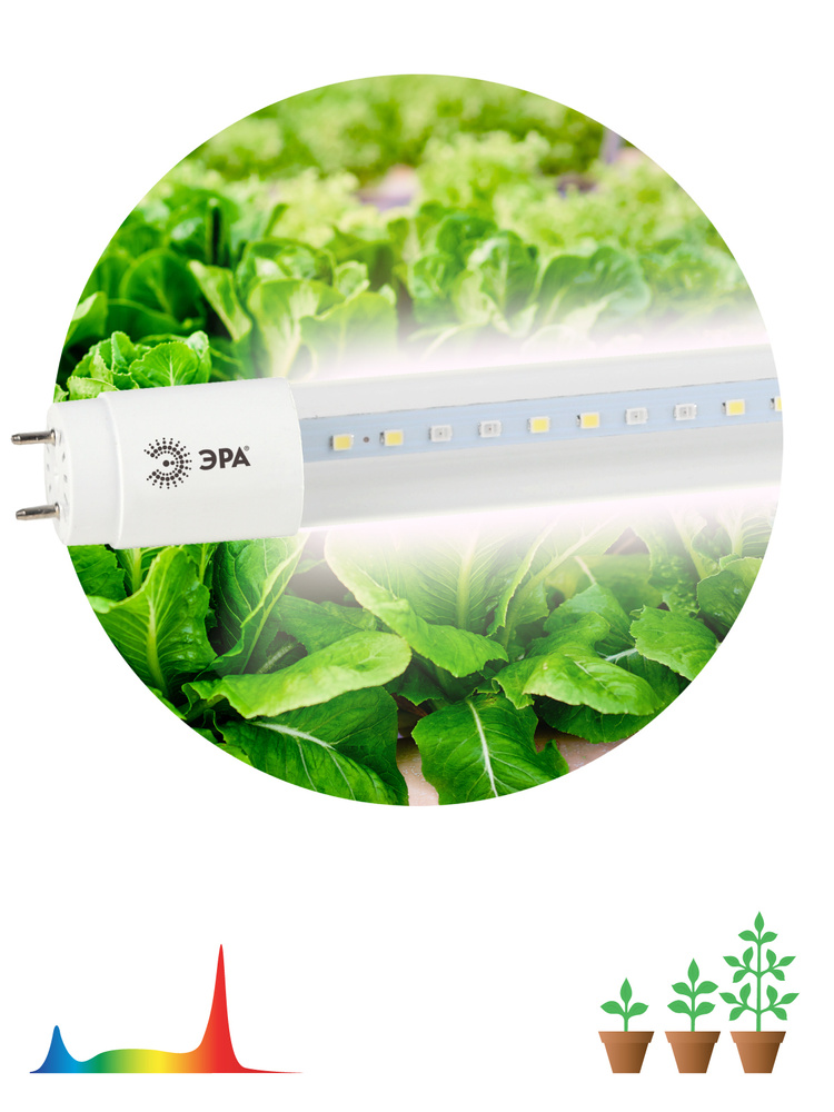 Фитолампа светодиодная полного спектра FITO-18W-Ra90-Т8-G13-NL ЭРА #1