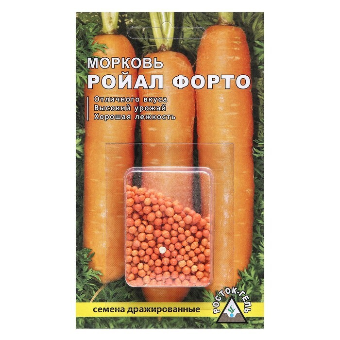Правила выращивания моркови Флаккоро