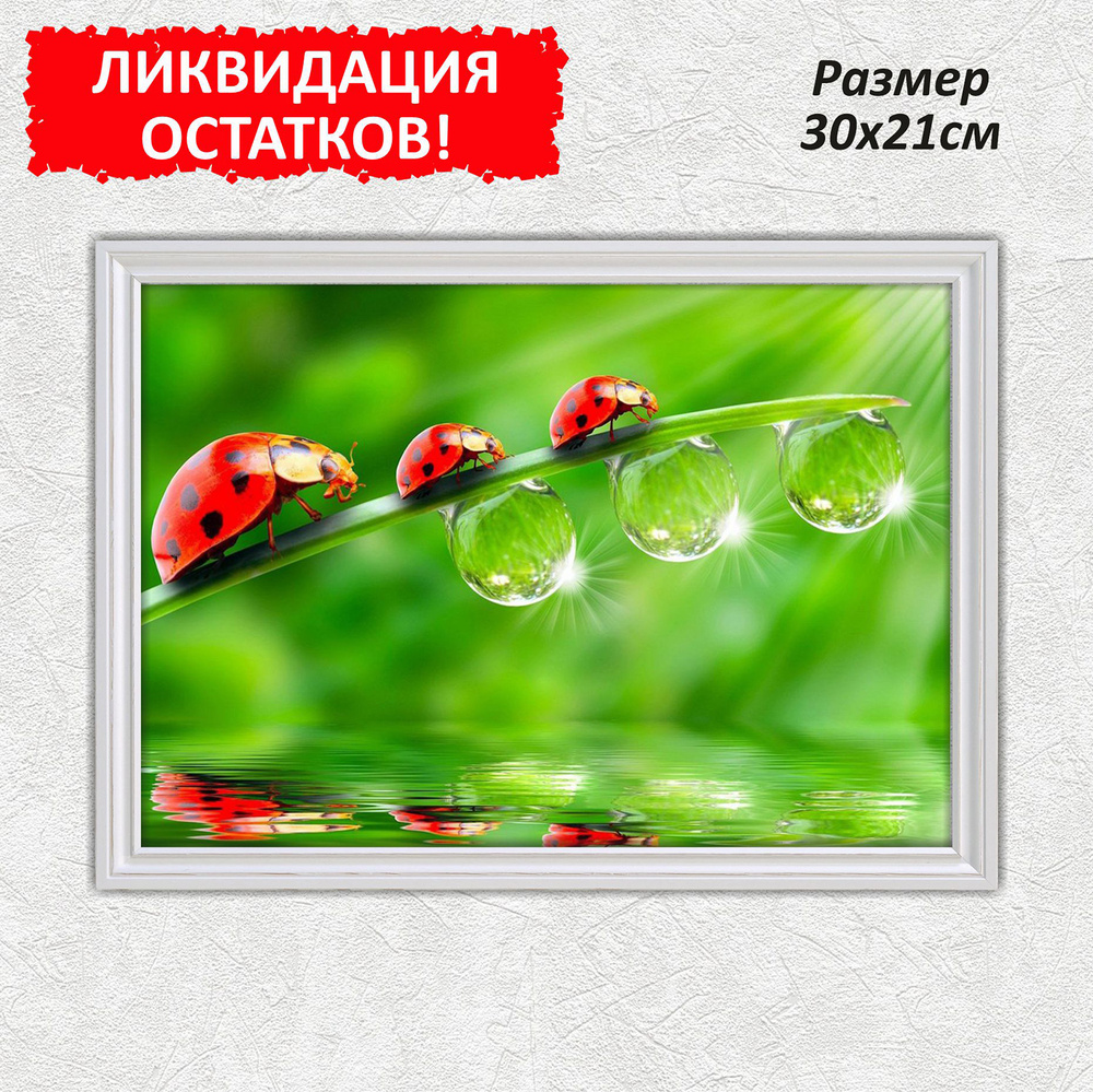 Алмазная мозаика стразами/Алмазная вышивка живопись/ картина стразами ...