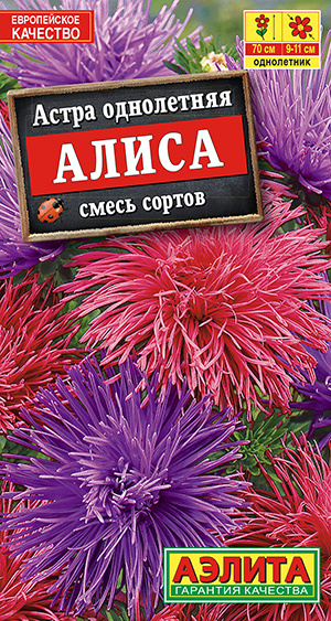 Астра Алиса, смесь окрасок #1