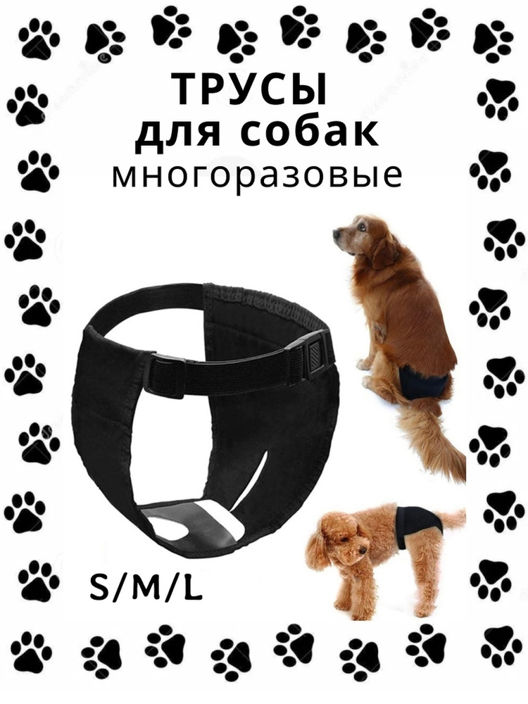 Гигиенические трусы для собак многоразовые,многоразовые трусы для собак;,  защитные штаны для домашних животных Черные L - купить с доставкой по  выгодным ценам в интернет-магазине OZON (608447422)