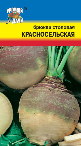 турнепс брюква. семена брюквы. брюква турнепс куузика. семена брюква новгородская. семена брюквы.