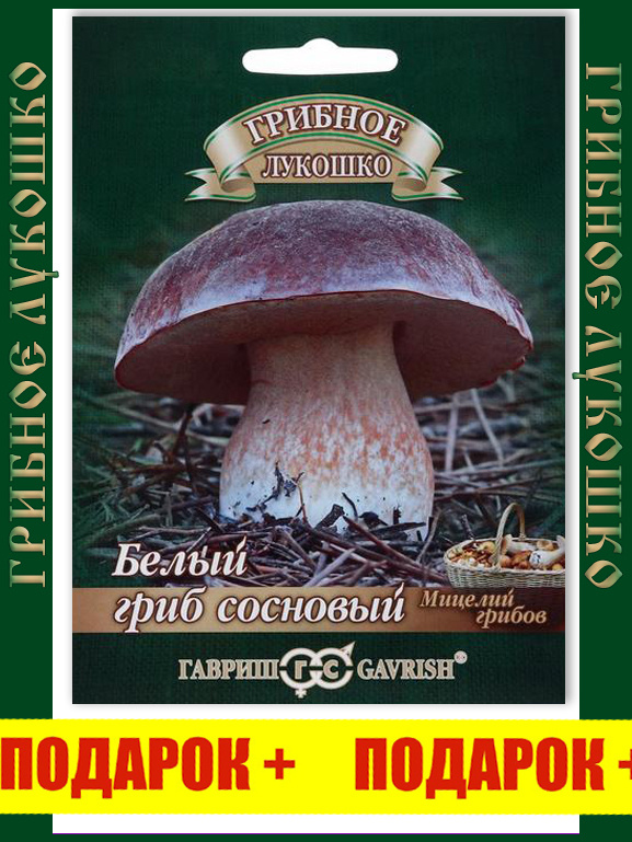 Семена / мицелий / грибы / грибов / вешенка / опенок / лисички ...